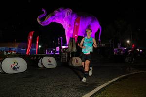 BIB: 
                            <button type="button" onclick="openModal(26534808)" class="btn btn-primary btn-sm float-right btn-popup" data-toggle="modal" data-target=".modal-high-quality">
                        <i class="fas fa-shopping-cart"></i> Add to Cart
                    </button>
                                            <button type="button" onclick="isThisMe(26534808, true)" class="btn btn-success btn-sm float-right btn-popup btn-isme hidden" data-toggle="tooltip" data-placement="bottom" title="นี่คือรูปของคุณใช่ไหม คลิกที่นี่เพื่อเอาเข้าอัลบั้ม">
                        <i class="fas fa-plus"></i> Add to album
                    </button>
                    <button type="button" onclick="isThisMe(26534808, false)" class="btn btn-warning btn-sm float-right btn-popup btn-isnotme hidden">
                        <i class="fas fa-ban"></i> Remove from album
                    </button>